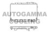 AUTOGAMMA 101205 Radiator, engine cooling